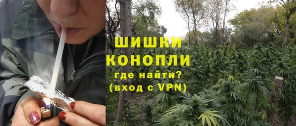 стаф Волосово