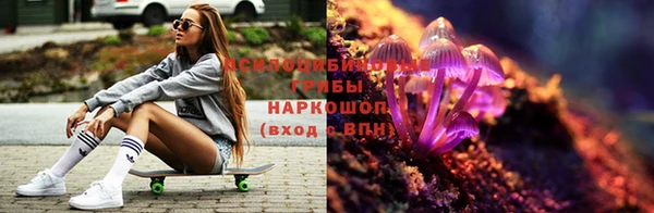 стаф Волосово
