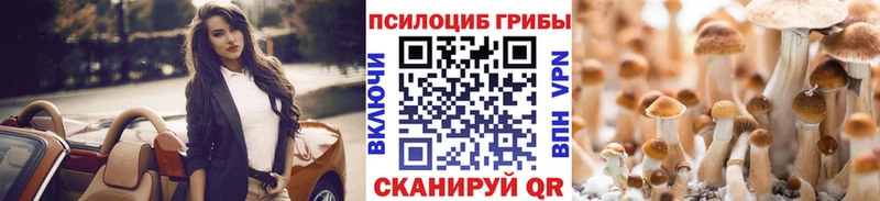 Галлюциногенные грибы Psilocybine cubensis  Евпатория 