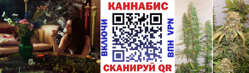 Бошки марихуана конопля  Евпатория 